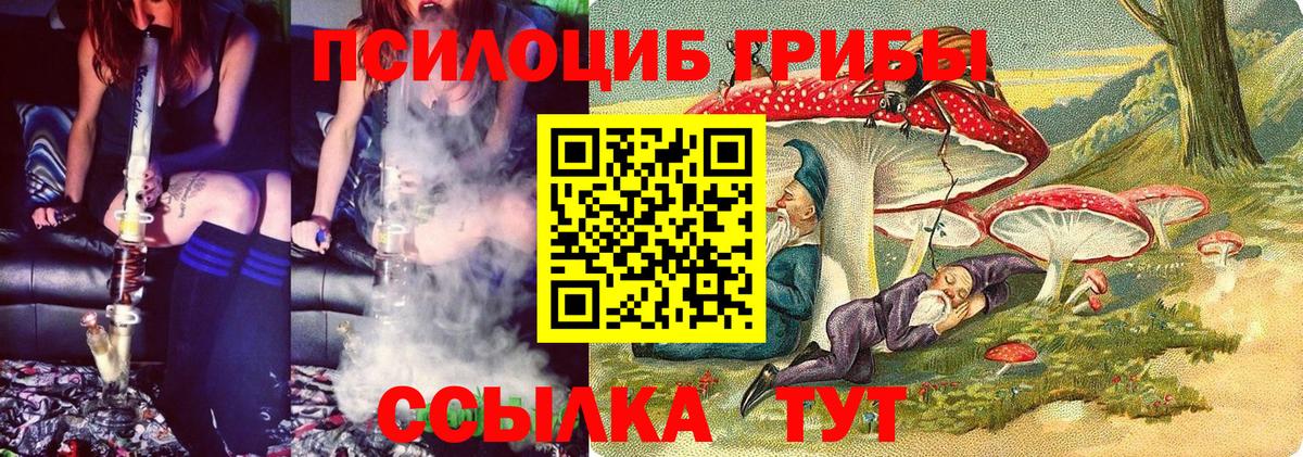 Луга  Псилоцибиновые грибы Magic Shrooms  Вход с VPN 