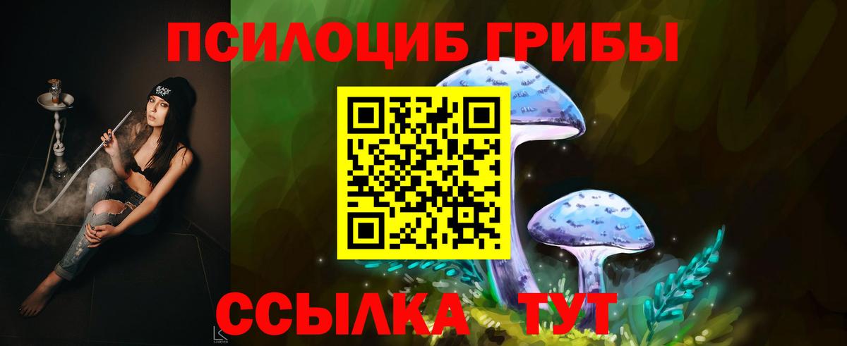 Галлюциногенные грибы GOLDEN TEACHER Луга